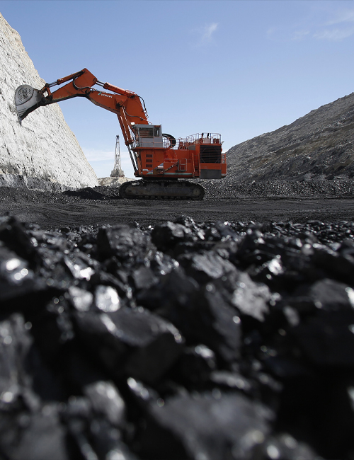 Usa Coal Importer