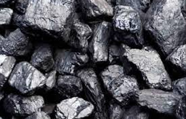 Australian Coal Importer