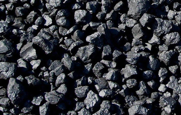 Australian Coal Importer