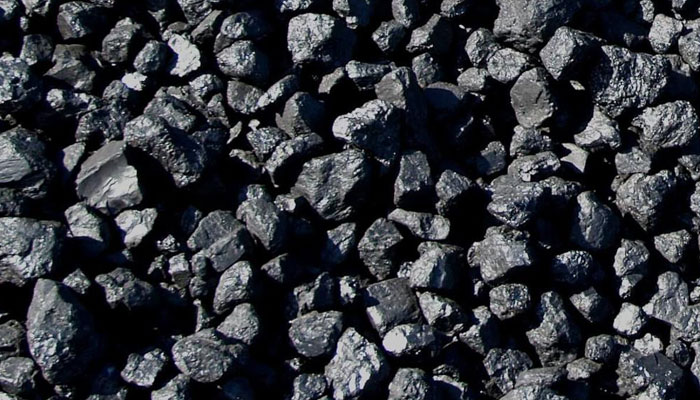 Us Coal Importer